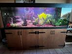 Prachtig groot aquarium, Dieren en Toebehoren, Ophalen of Verzenden, Zo goed als nieuw