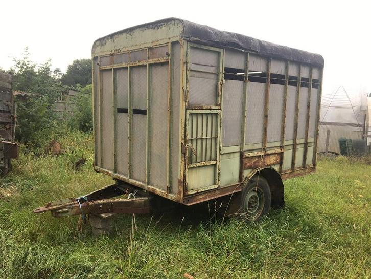 Dierenkar, Dieren en Toebehoren, Stalling en Weidegang, Stalling, Weidegang, 2 of 3 paarden of pony's