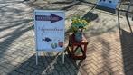 Helofyten ! Nitraat zuiverende vijverplanten! ( NL), Tuin en Terras, Vijver-toebehoren, Ophalen