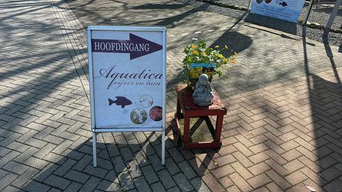 Helofyten ! Nitraat zuiverende vijverplanten! ( NL), Tuin en Terras, Vijver-toebehoren, Ophalen