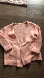 Prachtige bernadette  maat 116-128, Kinderen en Baby's, Meisje, Trui of Vest, Ophalen of Verzenden, Zo goed als nieuw