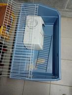 cage à cobaye, Animaux & Accessoires, Rongeurs & Lapins | Cages & Clapiers, Cobaye, Moins de 60 cm, 75 à 110 cm, Cage