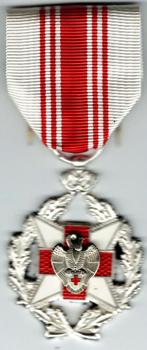 Medaille bloedgever Rode Kruis, Postzegels en Munten, Penningen en Medailles, Verzenden, Overige materialen