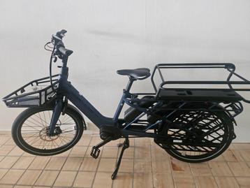 Hercules Family Rob Longtail Gratis levering beschikbaar voor biedingen