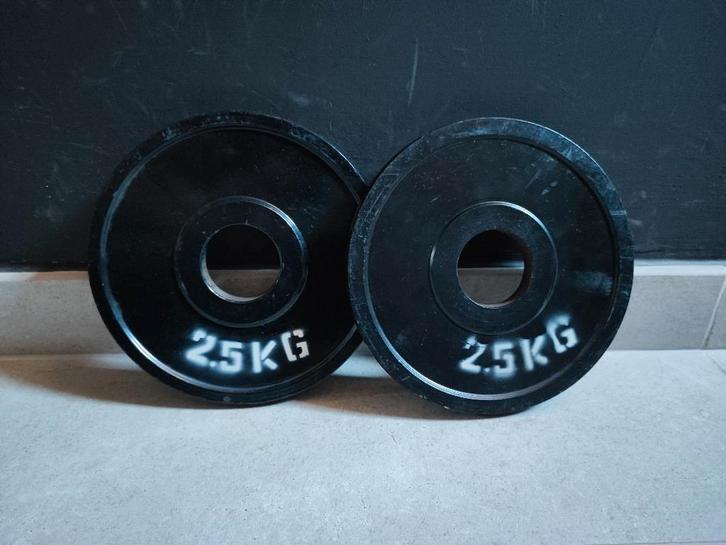 2 x 2,5kg Halterschijven van VPS (50mm)., Sport en Fitness, Fitnessmaterialen, Gebruikt, Halterschijven, Armen, Benen, Borst, Buik