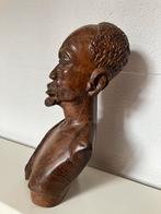 Buste bois tropicale, Antiquités & Art, Enlèvement