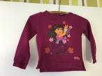 Sweater maatje 110, Kinderen en Baby's, Ophalen of Verzenden, Zo goed als nieuw