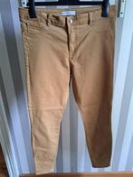 Broek voor dames oker maat 44, Kleding | Dames, Bruin, Denim co, Maat 42/44 (L), Ophalen of Verzenden