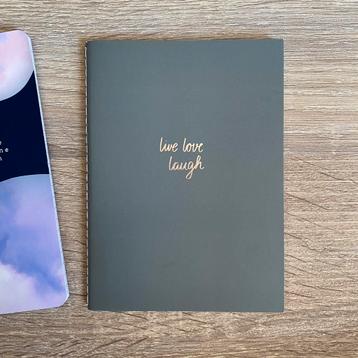 2 petits carnets Hema, Divers, Cahiers de notes, Enlèvement ou Envoi, Comme neuf, A6