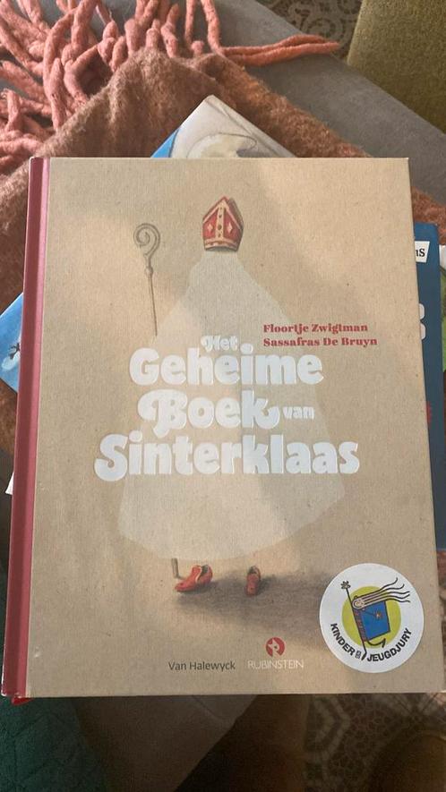 Het geheime boek van Sinterklaas, Livres, Livres pour enfants | Jeunesse | 10 à 12 ans, Neuf, Enlèvement ou Envoi