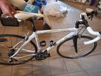 Carbon dames koersfiets, Fietsen en Brommers, Gebruikt, Carbon, Minder dan 49 cm, 15 tot 20 versnellingen
