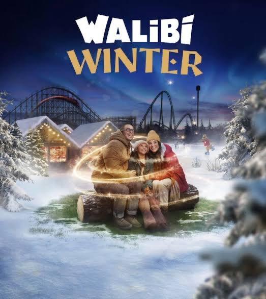 Billets pour Walibi Winter ️, Tickets & Billets, Loisirs | Parcs d'attractions, Trois personnes ou plus, Ticket ou Carte d'accès
