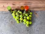 Tennisballen, Dieren en Toebehoren, Ophalen, Gebruikt, Hondenballen