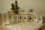 Taxidermie Opgezette Insecten in hars, Verzamelen, Ophalen of Verzenden, Zo goed als nieuw, Insect, Opgezet dier
