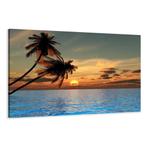 Nieuw canvas schilderij Palmbomen 120 x 80 cm, Verzenden, Nieuw, Schilderij, 100 tot 125 cm