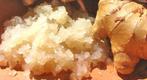 Ginger Beer Plant grains GBP, Divers, Envoi, Neuf