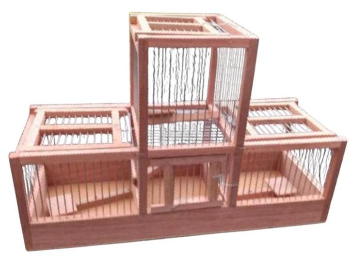 Vangkooien, Dieren en Toebehoren, Vogels | Hokken en Kooien, Nieuw, Volière, Hout, Ophalen of Verzenden