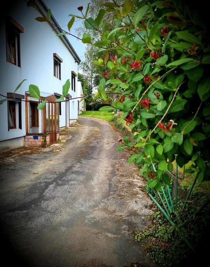 Jolie maison ardennaise région Bertrix, Immo, Maisons à vendre