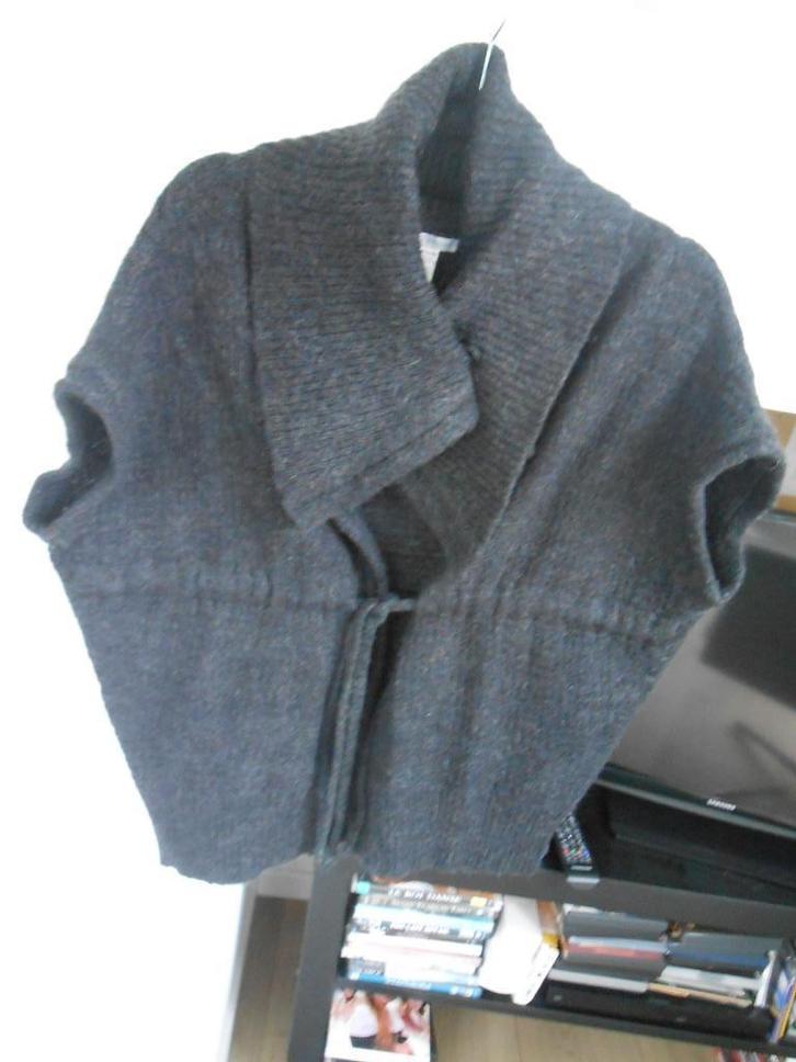 Sarah Pacini, Kleding | Dames, Truien en Vesten, Gedragen, Grijs, Ophalen of Verzenden