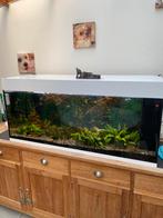 Aquarium “ Jewel”, Dieren en Toebehoren, Ophalen, Zo goed als nieuw