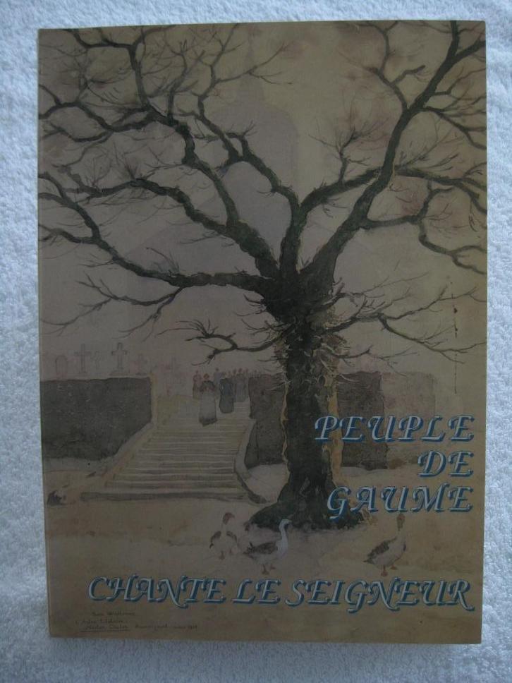 Gaume patrimoine religieux Virton Orval - Claudy - rare 1997, Livres, Histoire nationale, Comme neuf, Enlèvement ou Envoi