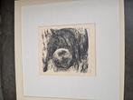 Gerard gaudaen, Antiek en Kunst, Kunst | Etsen en Gravures, Ophalen of Verzenden