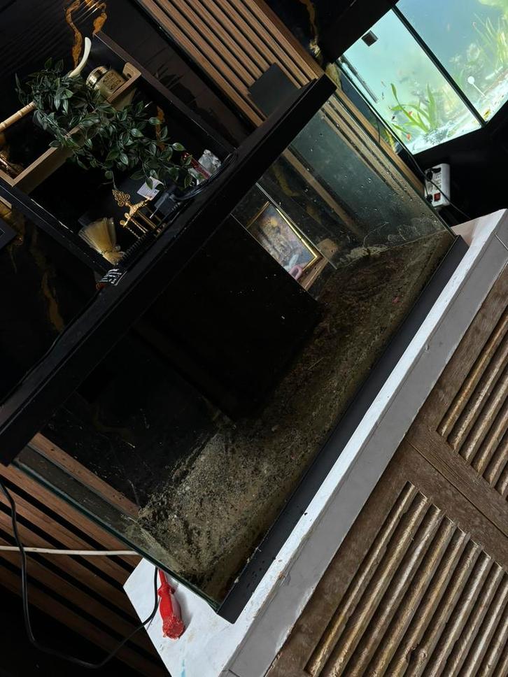 Aquarium met filter, Dieren en Toebehoren, Vissen | Aquaria en Toebehoren, Zo goed als nieuw, Ophalen