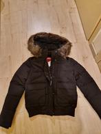 Superdry jas Nieuw!!!, Nieuw, Superdry, Maat 38/40 (M), Ophalen of Verzenden