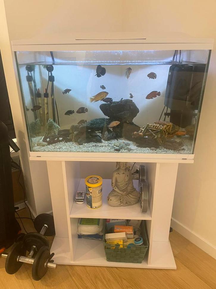 Aquarium, Dieren en Toebehoren, Vissen | Aquaria en Toebehoren, Zo goed als nieuw, Ophalen