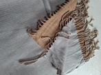 grijs beige mooie sjaal lengte 2 m., Betty Barclay, Ophalen of Verzenden, Nieuw, Sjaal
