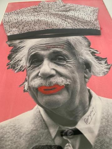 Jan BUCQUOY - Musée du slip - Einstein - Lithografie beschikbaar voor biedingen
