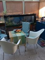 Grand vivarium, Animaux & Accessoires, Reptiles & Amphibiens | Accessoires, Enlèvement