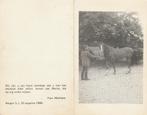 Ongeval Marita Molmans  met paard 1967-1984, Collections, Images pieuses & Faire-part, Enlèvement ou Envoi