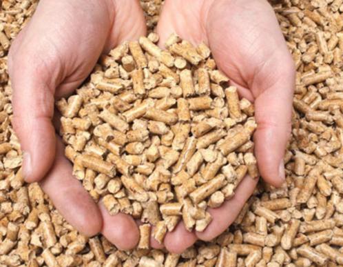 houtpellets € 179,00 voor 504kg witte pellets, Tuin en Terras, Brandhout, Blokken, Overige houtsoorten, Minder dan 3 m³, Ophalen