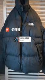 The North Face Jas voor Winter️, Kleding | Heren, Jassen | Winter, Ophalen of Verzenden, Zo goed als nieuw