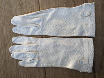 Gants blancs beschikbaar voor biedingen