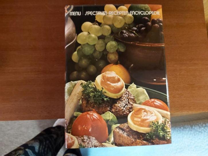 Lot - Menu Spectrum Recepten Encyclopedie, Boeken, Kookboeken, Ophalen of Verzenden