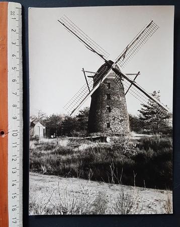 Foto Kasterlee Zwarte Molen Windmolen Moulin (11,5 x 16,5cm)