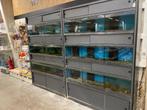 Aquarium, Animaux & Accessoires, Poissons | Aquariums & Accessoires, Enlèvement, Utilisé, Autres types
