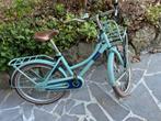 mooie meisjes fiets, Ophalen, Alpina, Handrem, Gebruikt