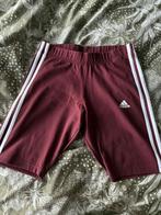 Adidas short, Kleding | Dames, Sportkleding, Overige kleuren, Adidas, Nieuw, Ophalen of Verzenden