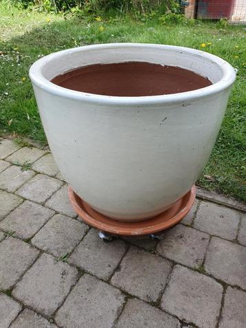 Pot céramique diam. 50cm + soucoupe et plateau à roulettes disponible aux enchères