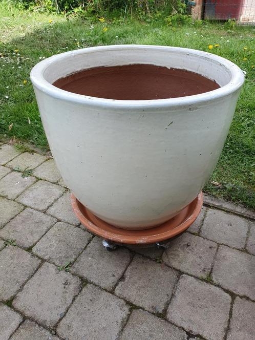 Pot céramique diam. 50cm + soucoupe et plateau à roulettes, Jardin & Terrasse, Bacs à fleurs & Jardinières, Comme neuf, Enlèvement