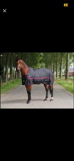 Paardendeken, Dieren en Toebehoren, Paarden en Pony's | Dekens en Dekjes, Ophalen, Zo goed als nieuw, Deken