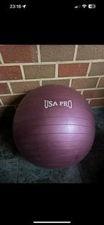 Usa pro fitnessbal, Sports & Fitness, Équipement de fitness, Enlèvement, Balle de fitness
