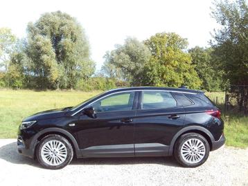 Opel Grandland X Benzine 98dkm Camera GPS 131PK Top NW 020 beschikbaar voor biedingen