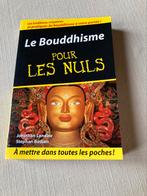Le Bouddhisme pour les nuls, Boeken, Godsdienst en Theologie, Boeddhisme, Zo goed als nieuw