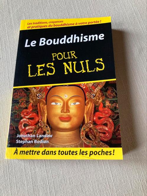 Le Bouddhisme pour les nuls, Boeken, Godsdienst en Theologie, Zo goed als nieuw, Boeddhisme