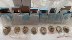 Set van 8 piercingdisplays van siliconen en acryl, Ophalen, Nieuw