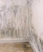 Traitement d'humidité par injection devis gratuit, Enlèvement ou Envoi